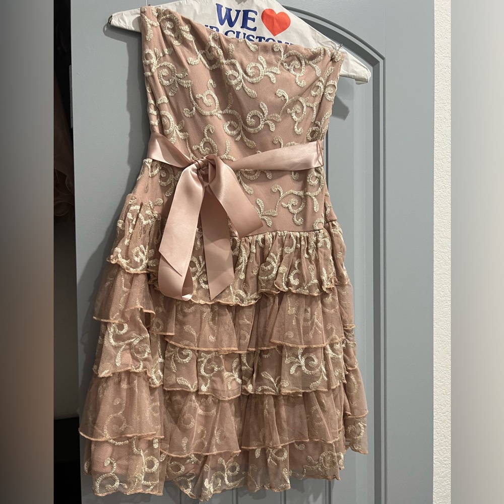 Lily rose size small pink formal dress